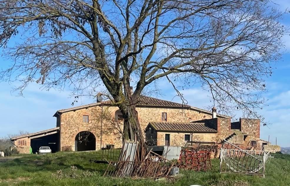 Farm Ranch in Montalcino, Tuscany, Italy 4 - 16725142