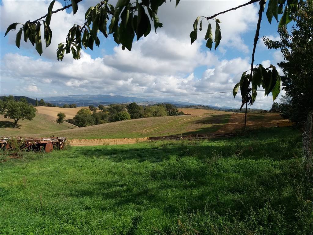 Land in Scansano, Tuscany, Italy 4 - 16723101