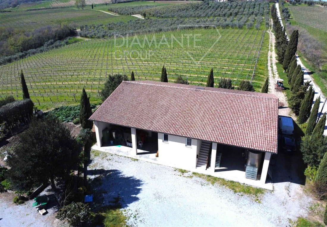Farm Ranch in Castel del Piano, Tuscany, Italy 1 - 16725115