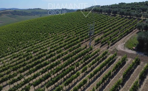 Castle To Be Renovated For Sale In Montalcino, Valdorcia