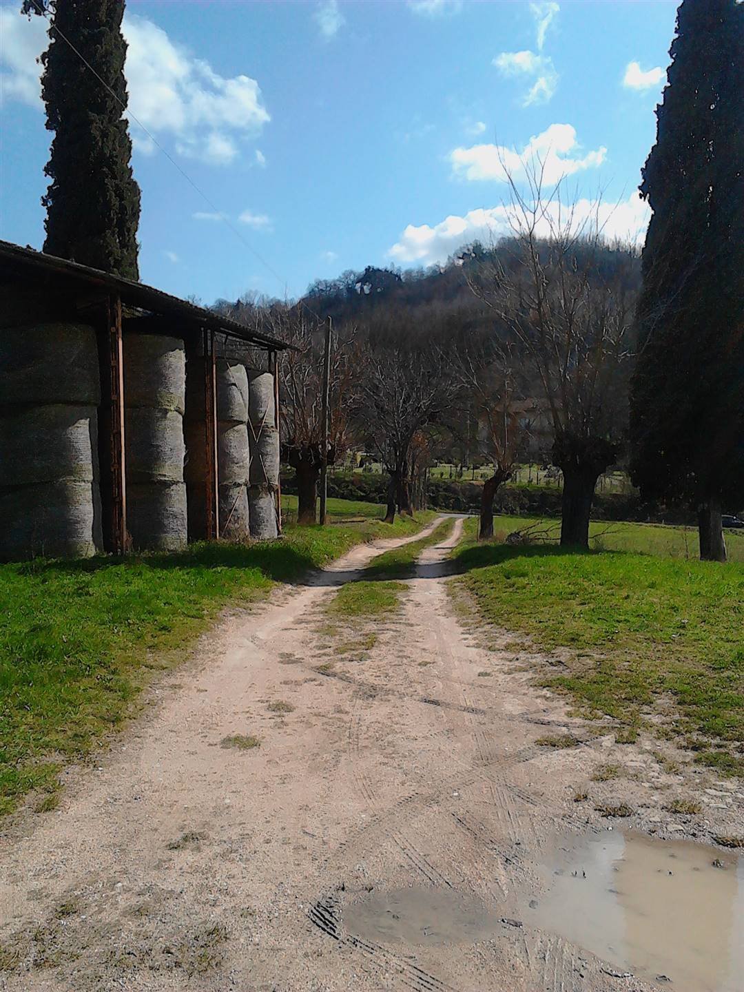 Land in Colleluce - Taccoli, San Severino Marche, Marche 5 - 16722439