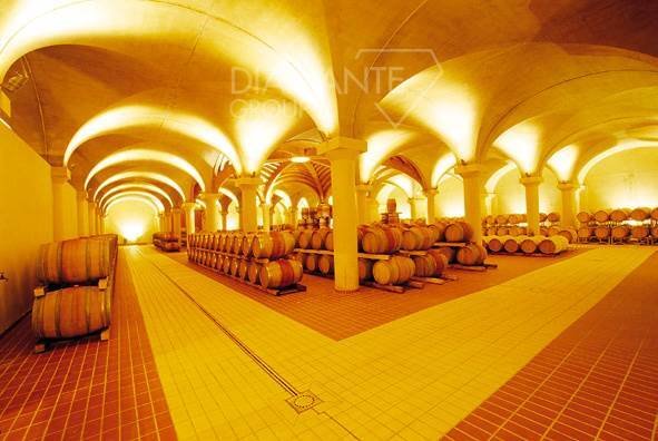 Farm Ranch in Castellina in Chianti, Tuscany, Italy 3 - 16725064