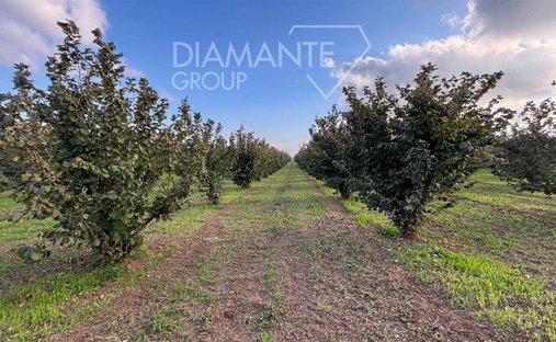 Castle for Sale in Viterbo, Lazio, Italy