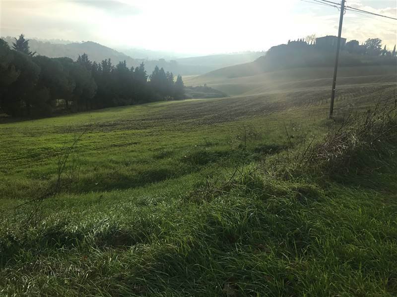 Land in Buonconvento, Tuscany, Italy 4 - 16724251