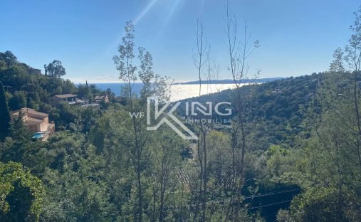 Villa in Ecarts, Roquebrune-sur-Argens, France 1