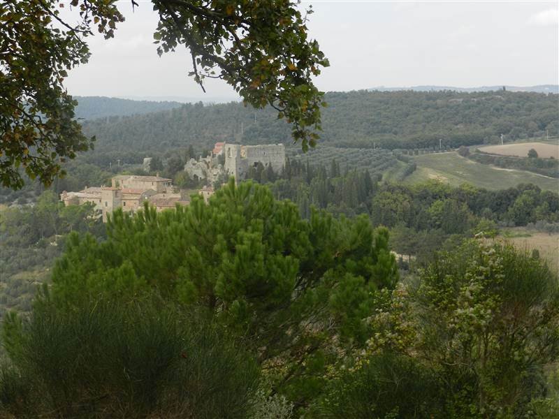 Farm Ranch in Montalcino, Tuscany, Italy 3 - 16724227
