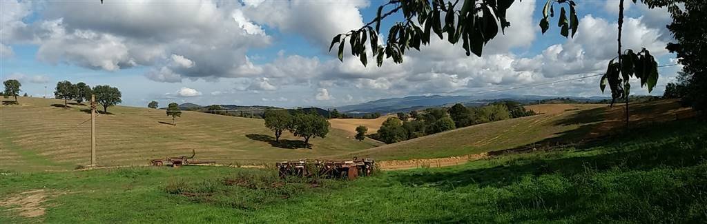 Land in Scansano, Tuscany, Italy 2 - 16723101