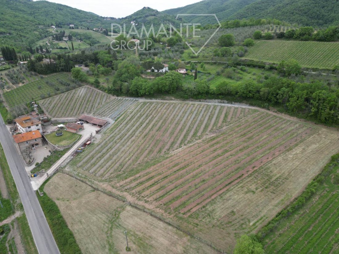 Farm Ranch in Lucolena in Chianti, Greve in Chianti, Tuscany 5 - 16725018