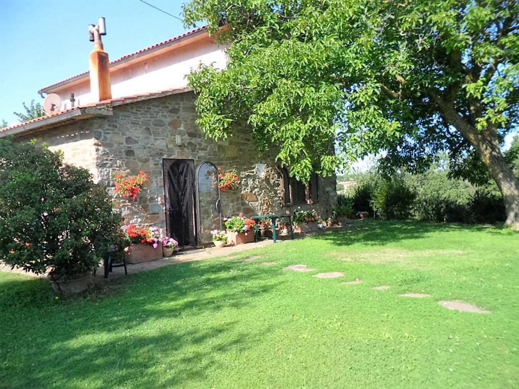 Farm Ranch in Scansano, Tuscany, Italy 5 - 16723175