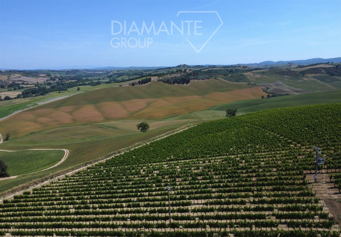 Farm Ranch in Montalcino, Tuscany, Italy 1 - 16725042
