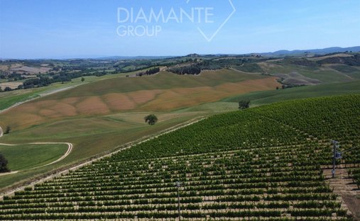 Castle To Be Renovated For Sale In Montalcino, Valdorcia