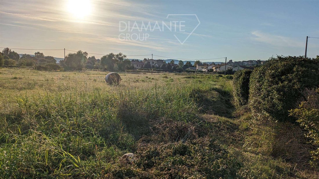 Land in Tuoro sul Trasimeno, Umbria, Italy 3 - 16725127