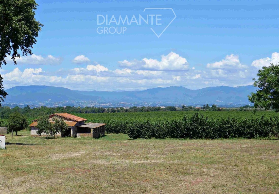 Farm Ranch in Castel Sant'Elia, Lazio, Italy 1 - 16725020