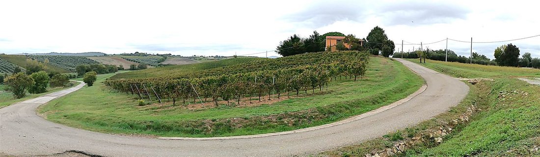 Farm Ranch in Magliano in Toscana, Tuscany, Italy 5 - 16722288