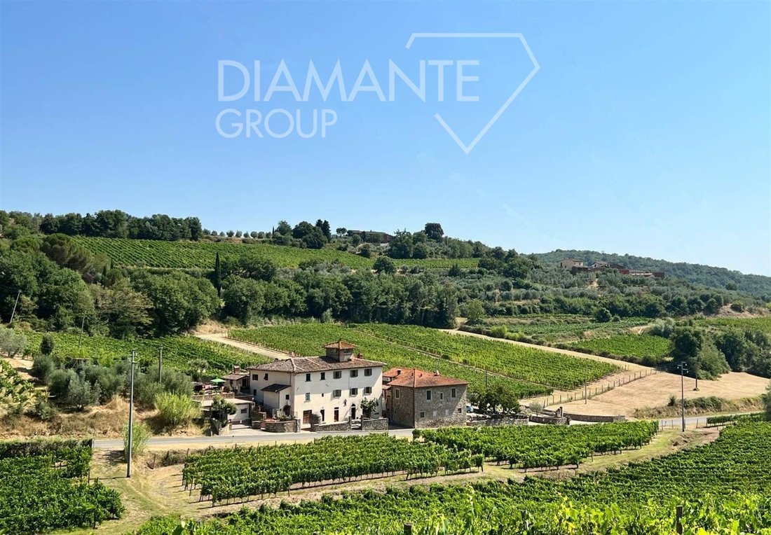 Farm Ranch in Lucolena in Chianti, Greve in Chianti, Tuscany 1 - 16725018