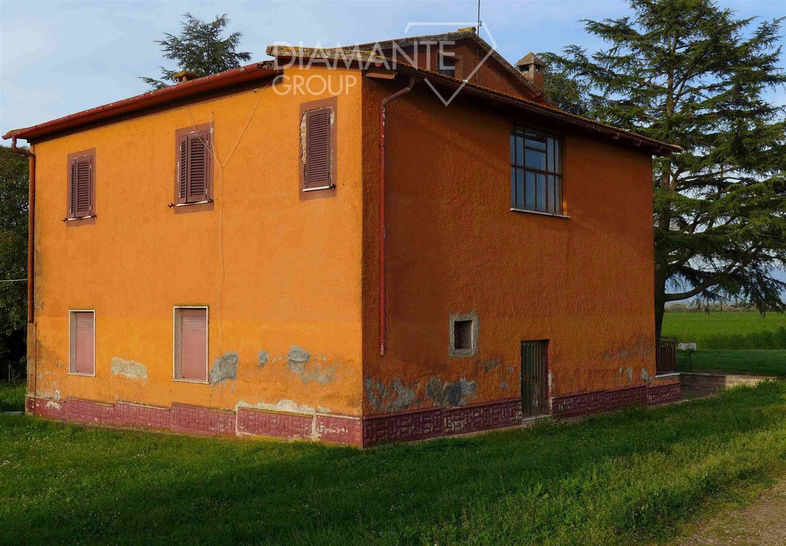 Farm Ranch in Castel Sant'Elia, Lazio, Italy 3 - 16725020