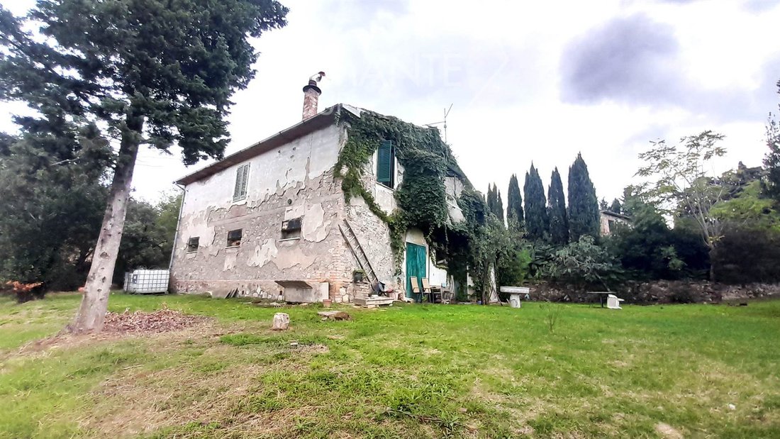 Farm Ranch in Scansano, Tuscany, Italy 5 - 16725006