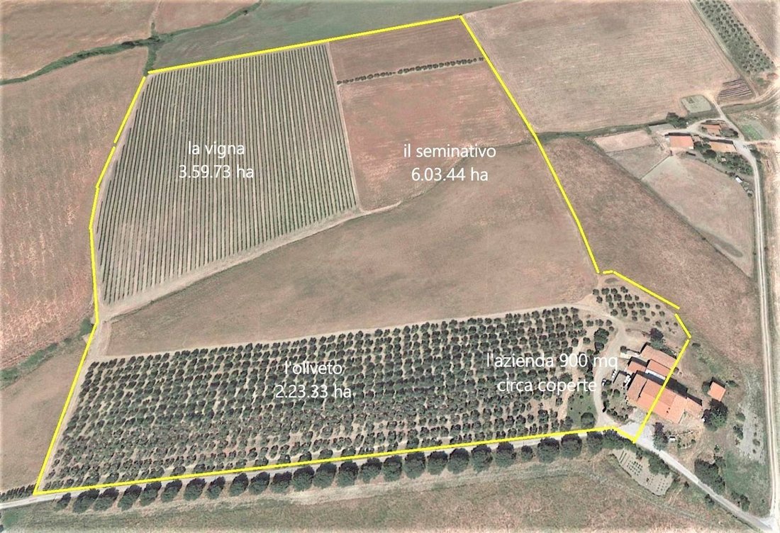 Farm Ranch in Castel del Piano, Tuscany, Italy 2 - 16722865