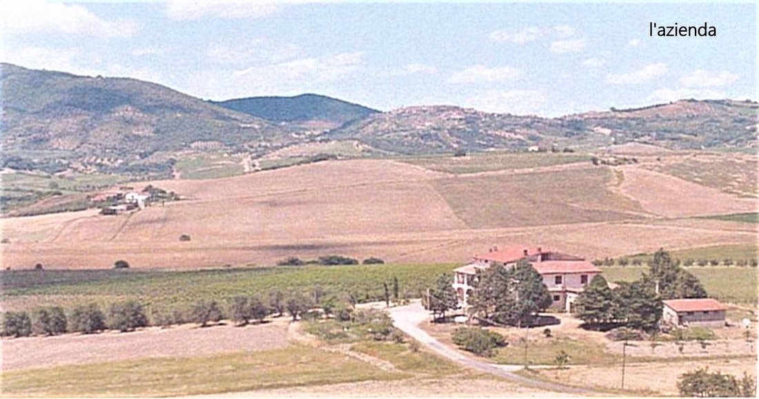 Farm Ranch in Castel del Piano, Tuscany, Italy 1 - 16722865