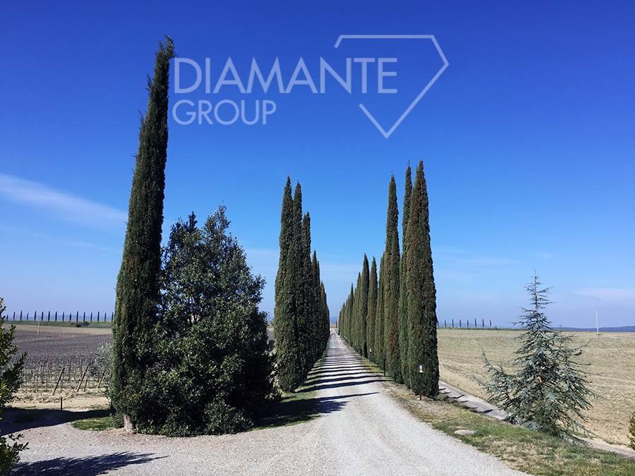Farm Ranch in Montalcino, Tuscany, Italy 4 - 16724919