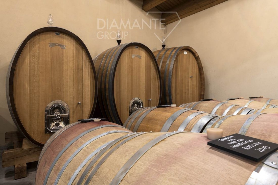 Farm Ranch in Castel del Piano, Tuscany, Italy 5 - 16725115