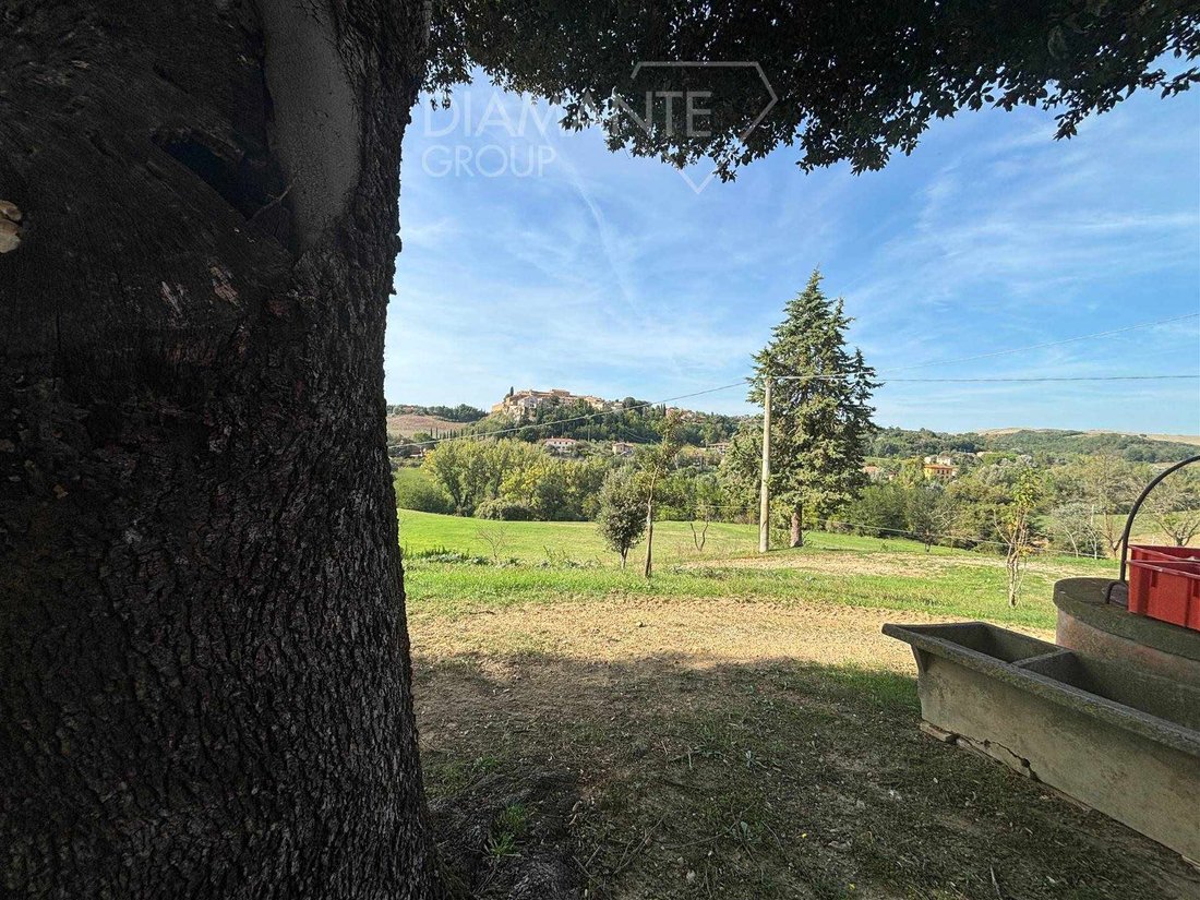 Farm Ranch in San Giovanni d'Asso, Tuscany, Italy 5 - 16725124
