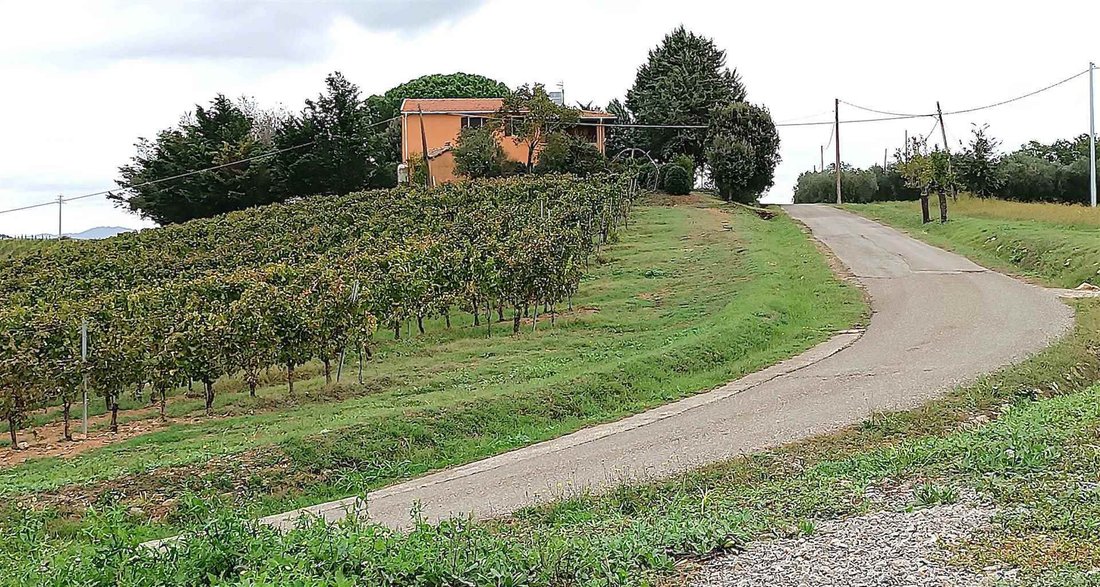 Farm Ranch in Magliano in Toscana, Tuscany, Italy 1 - 16722288
