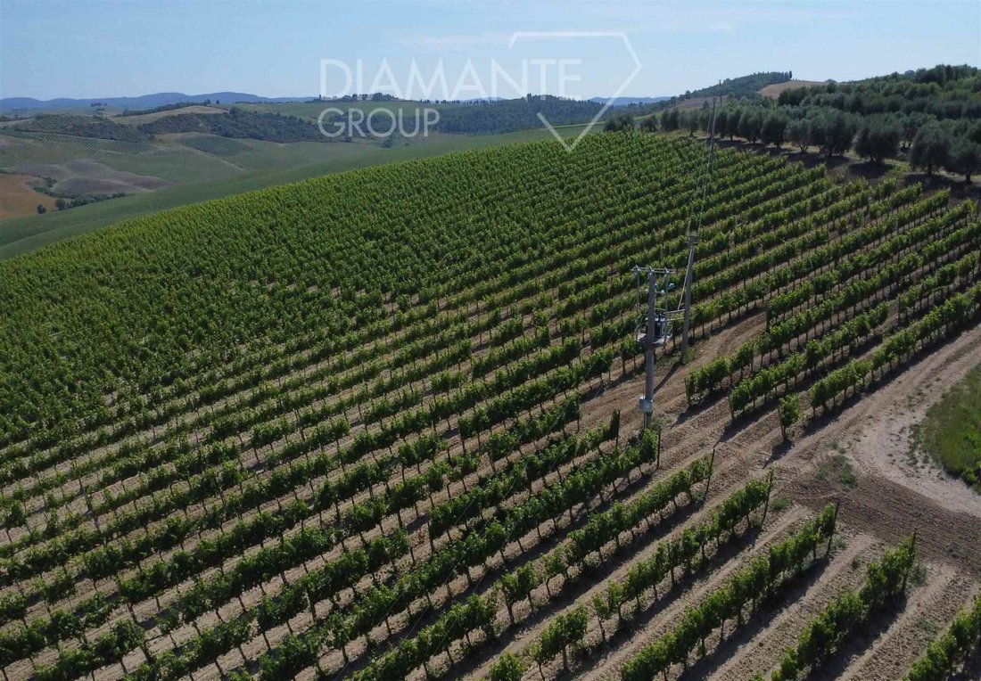 Farm Ranch in Montalcino, Tuscany, Italy 4 - 16725042