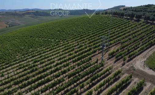 Castle To Be Renovated For Sale In Montalcino, Valdorcia