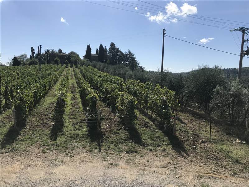 Farm Ranch in Gaiole in Chianti, Tuscany, Italy 2 - 16724012