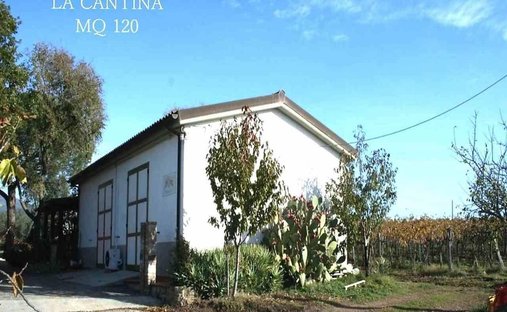 Azienda agricola a Roccastrada, Toscana, Italia 1