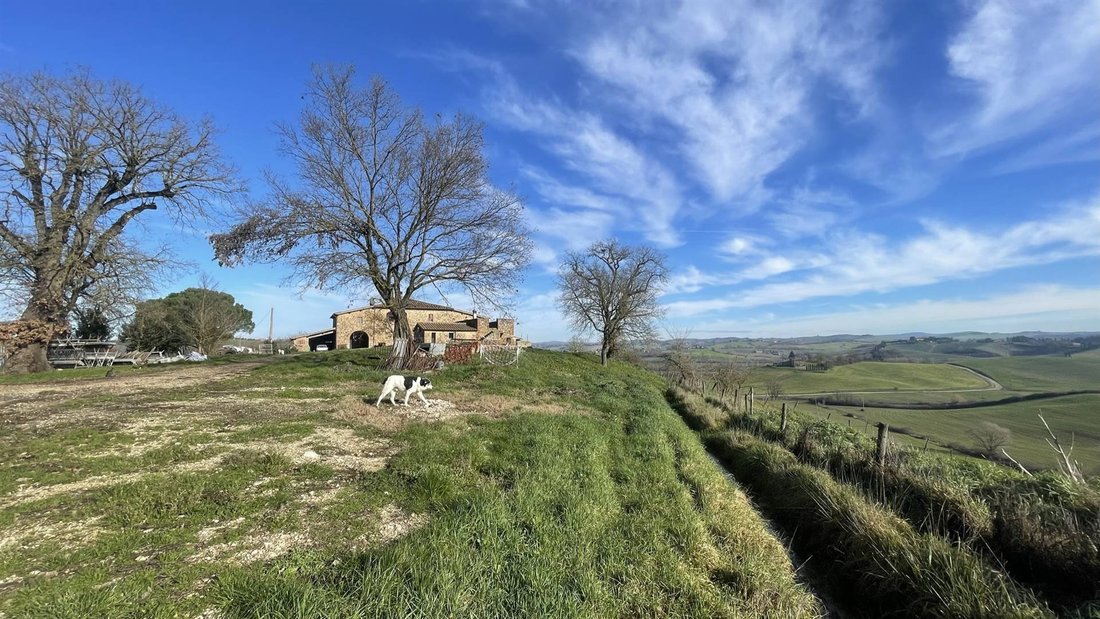 Farm Ranch in Montalcino, Tuscany, Italy 3 - 16725142