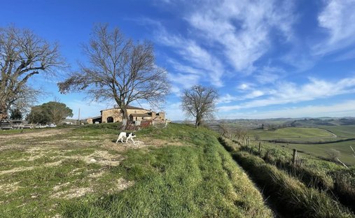 Castle To Be Renovated For Sale In Montalcino, Valdorcia