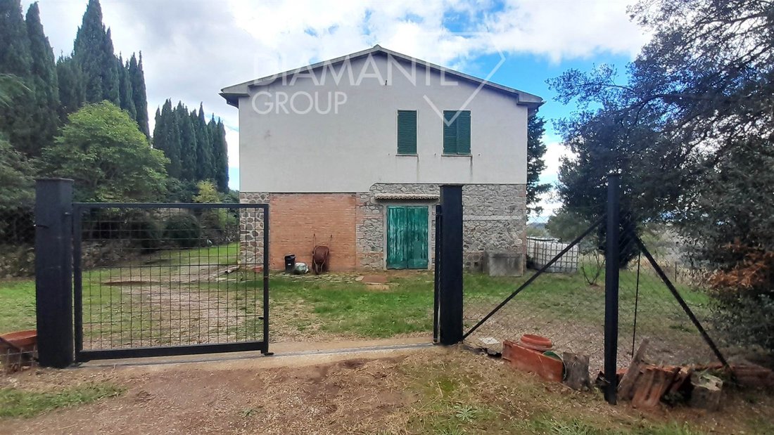 Farm Ranch in Scansano, Tuscany, Italy 4 - 16725006