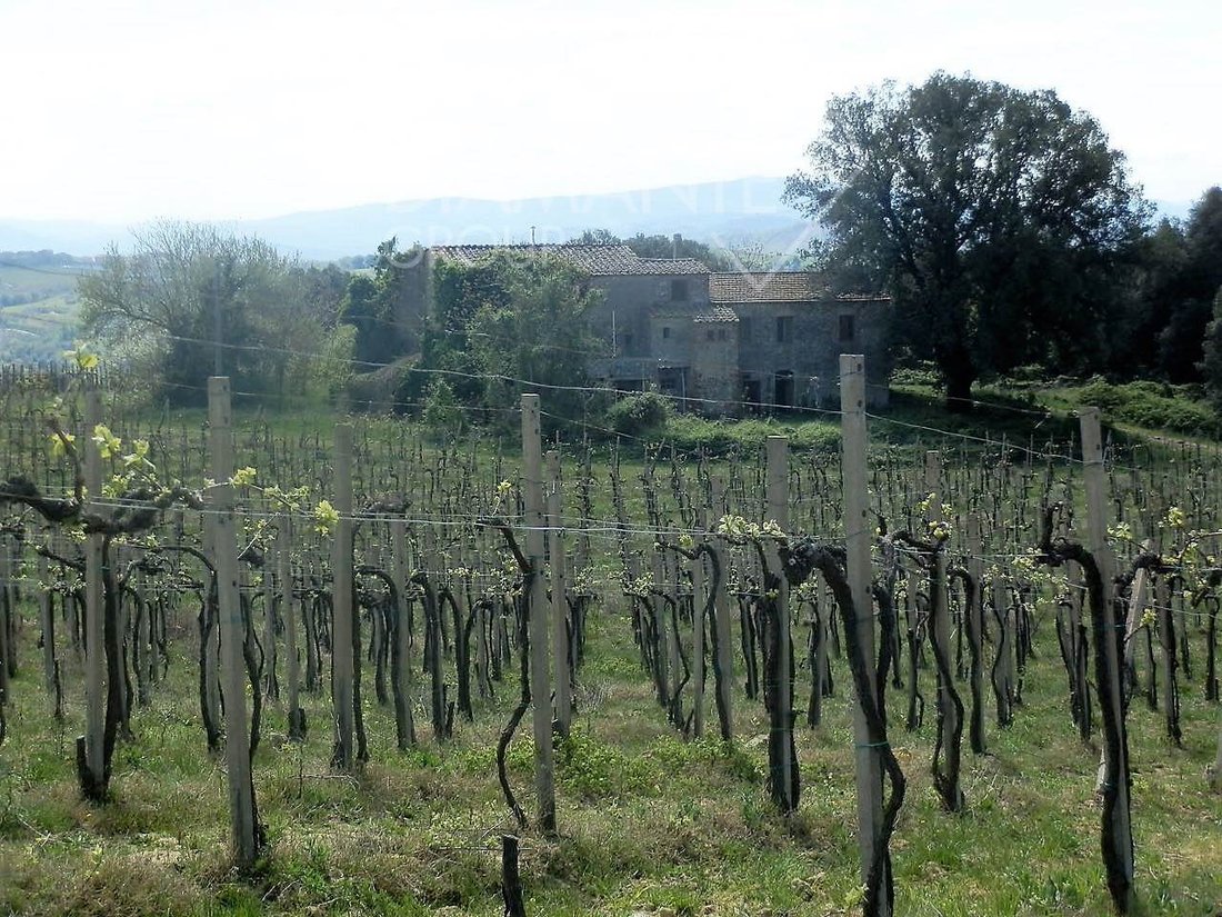 Farm Ranch in San Gimignano, Tuscany, Italy 2 - 16724108