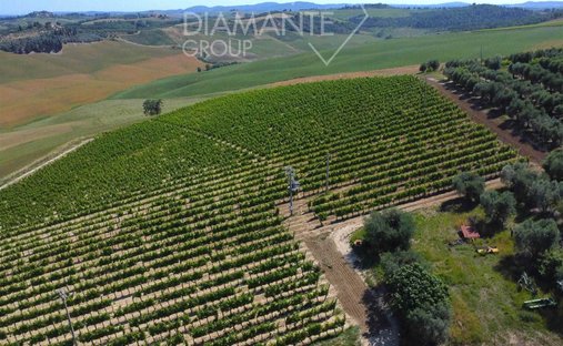 Castle To Be Renovated For Sale In Montalcino, Valdorcia