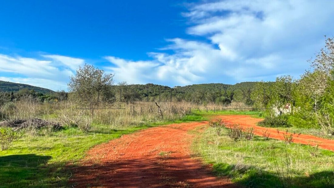Land in Balearic Islands, Spain 2 - 16649561