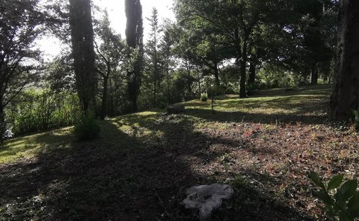 Castle for Sale in Cetona, Tuscany, Italy