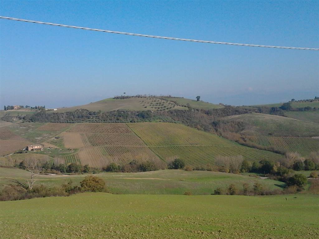 Land in Torrita di Siena, Toskana, Italien 1 - 16722128