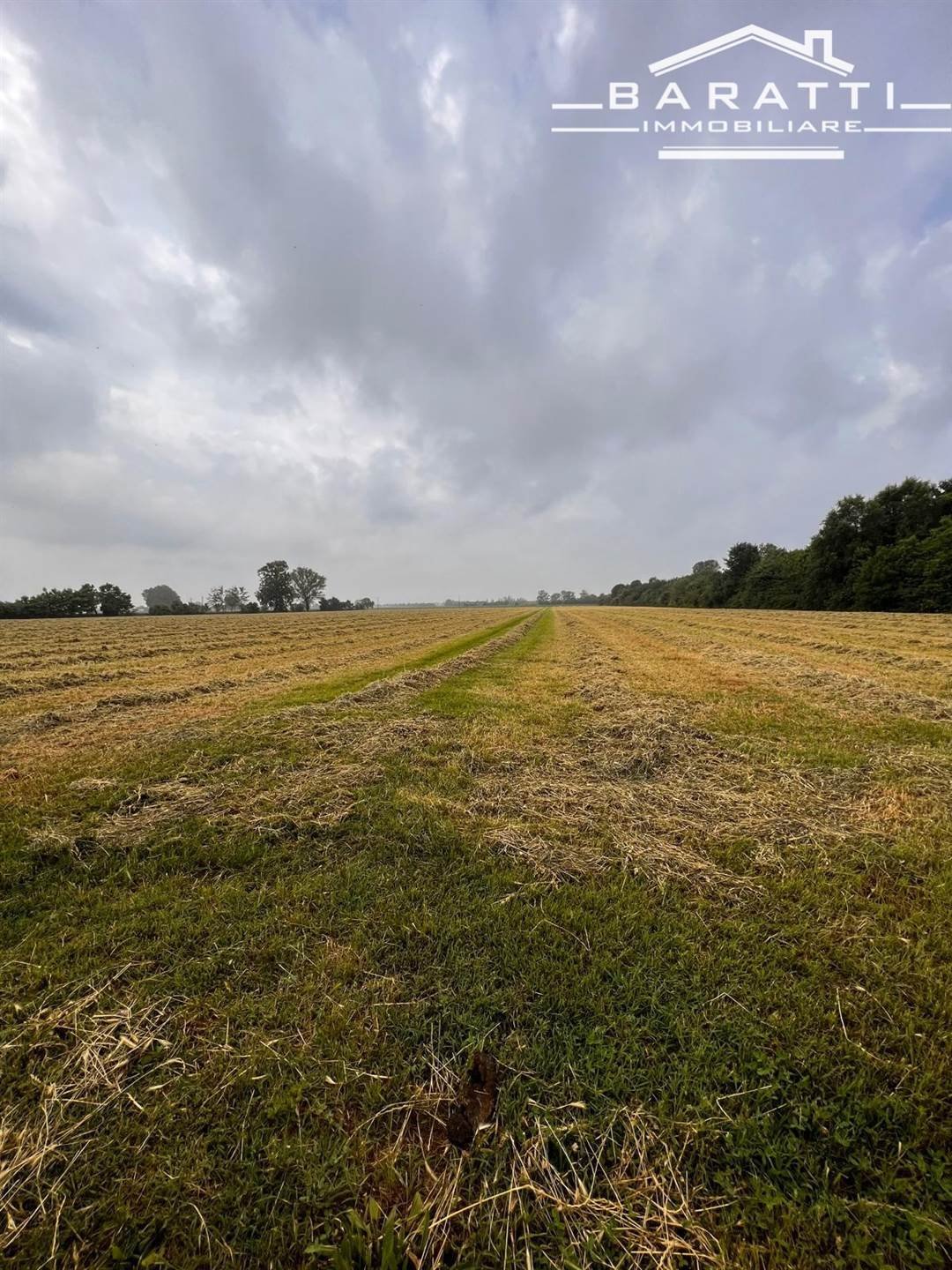 Farm Ranch in Guastalla, Emilia-Romagna, Italy 1 - 16724271