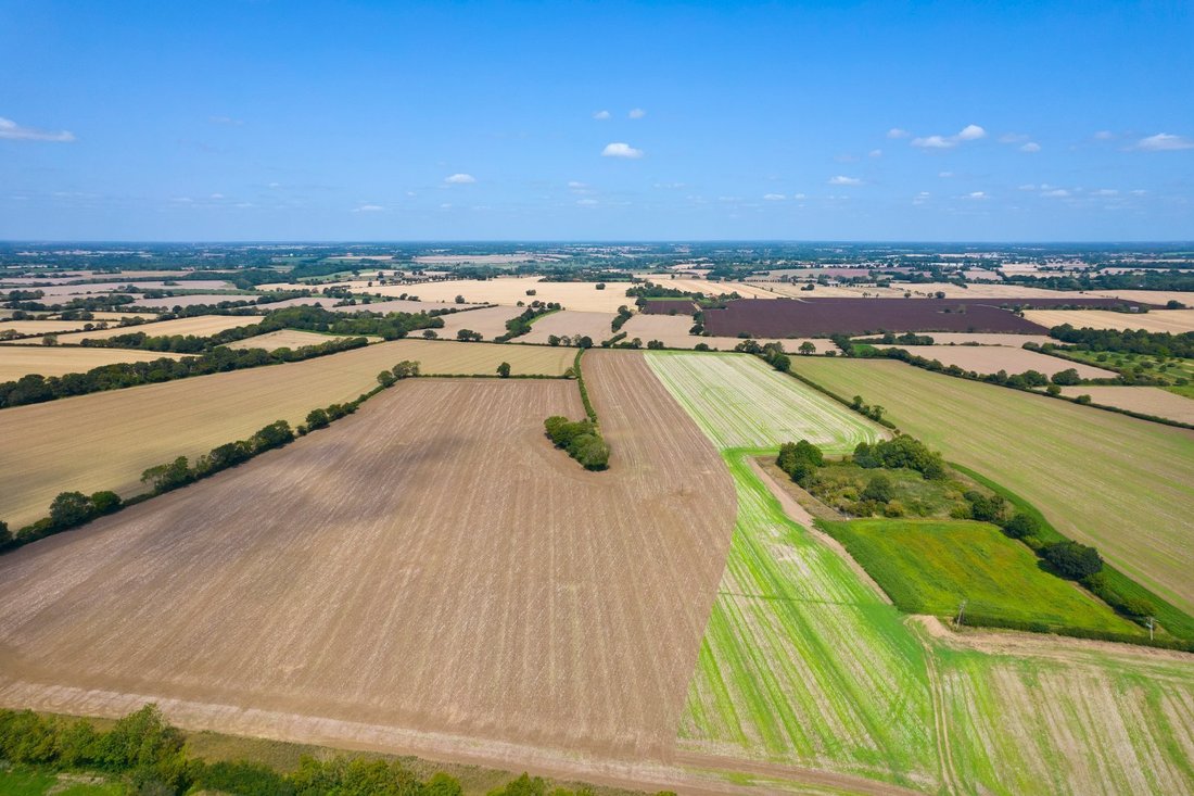 Land in Fressingfield, England 1 - 16719935