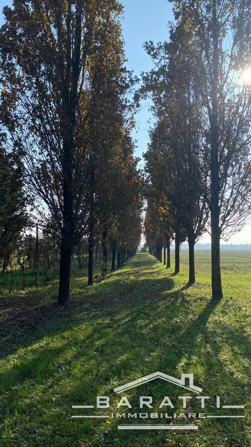Land in Borgo Virgilio, Lombardy, Italy 1 - 16724484