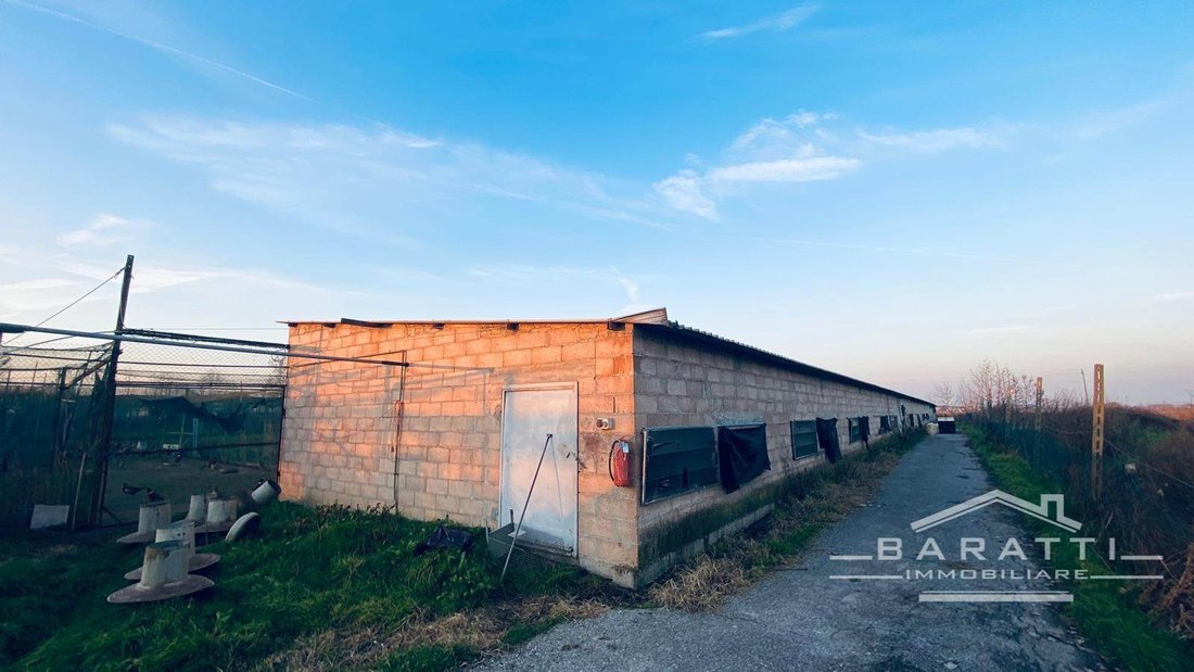 Land in Castelbelforte, Lombardy, Italy 1 - 16724444