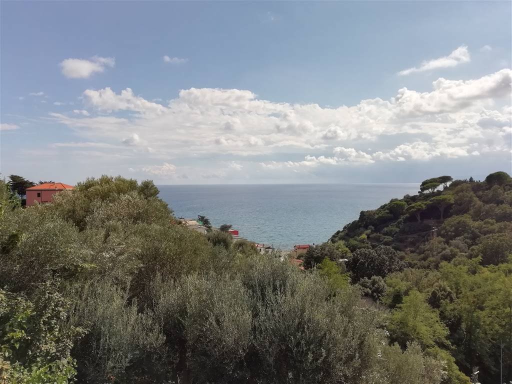 Villa in Celle Ligure, Liguria, Italy 1 - 16721779