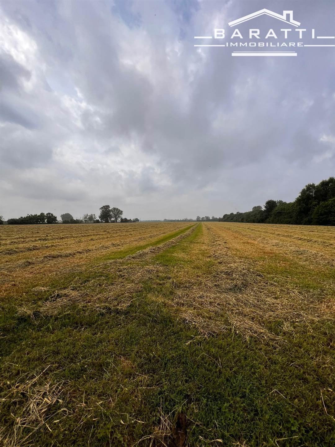 Farm Ranch in Guastalla, Emilia-Romagna, Italy 2 - 16724271