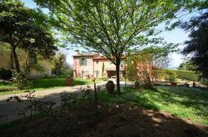 Villa in Palaia, Tuscany, Italy 3 - 15908515