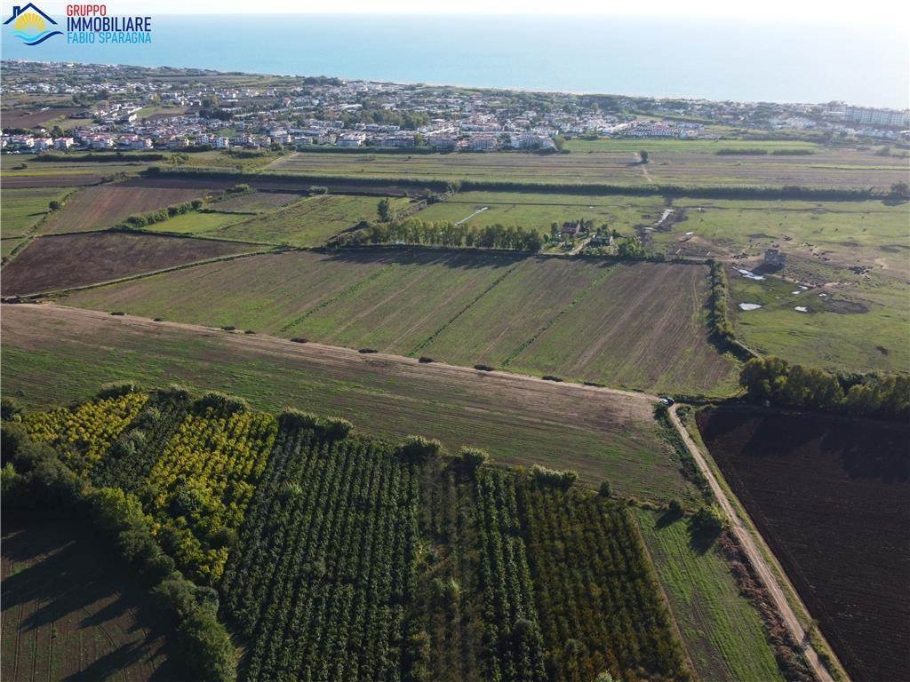 Land in Cellole, Campania, Italy 3 - 16722652