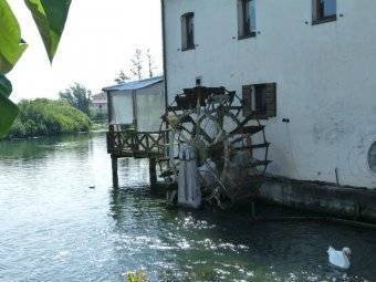 Land in Quinto di Treviso, Veneto, Italy 1 - 16555660