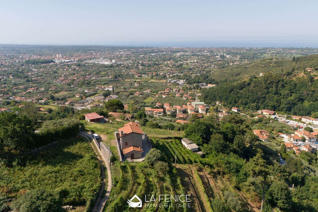 Apartment in Pietrasanta, Tuscany, Italy 5 - 16723866