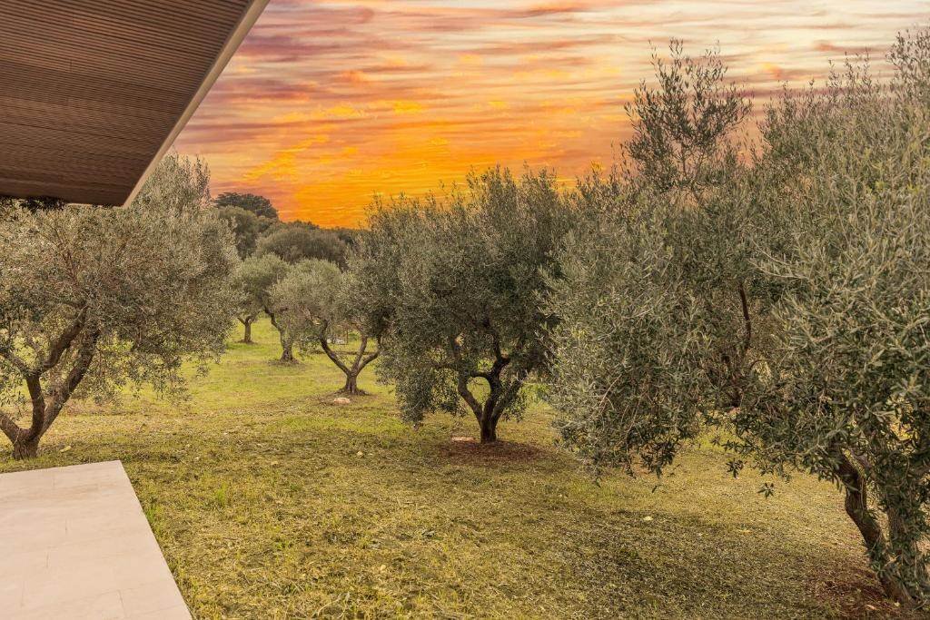 Villa in Campanile - Fumarola - Cavallerizza, Ostuni, Apulia 5 - 16723744